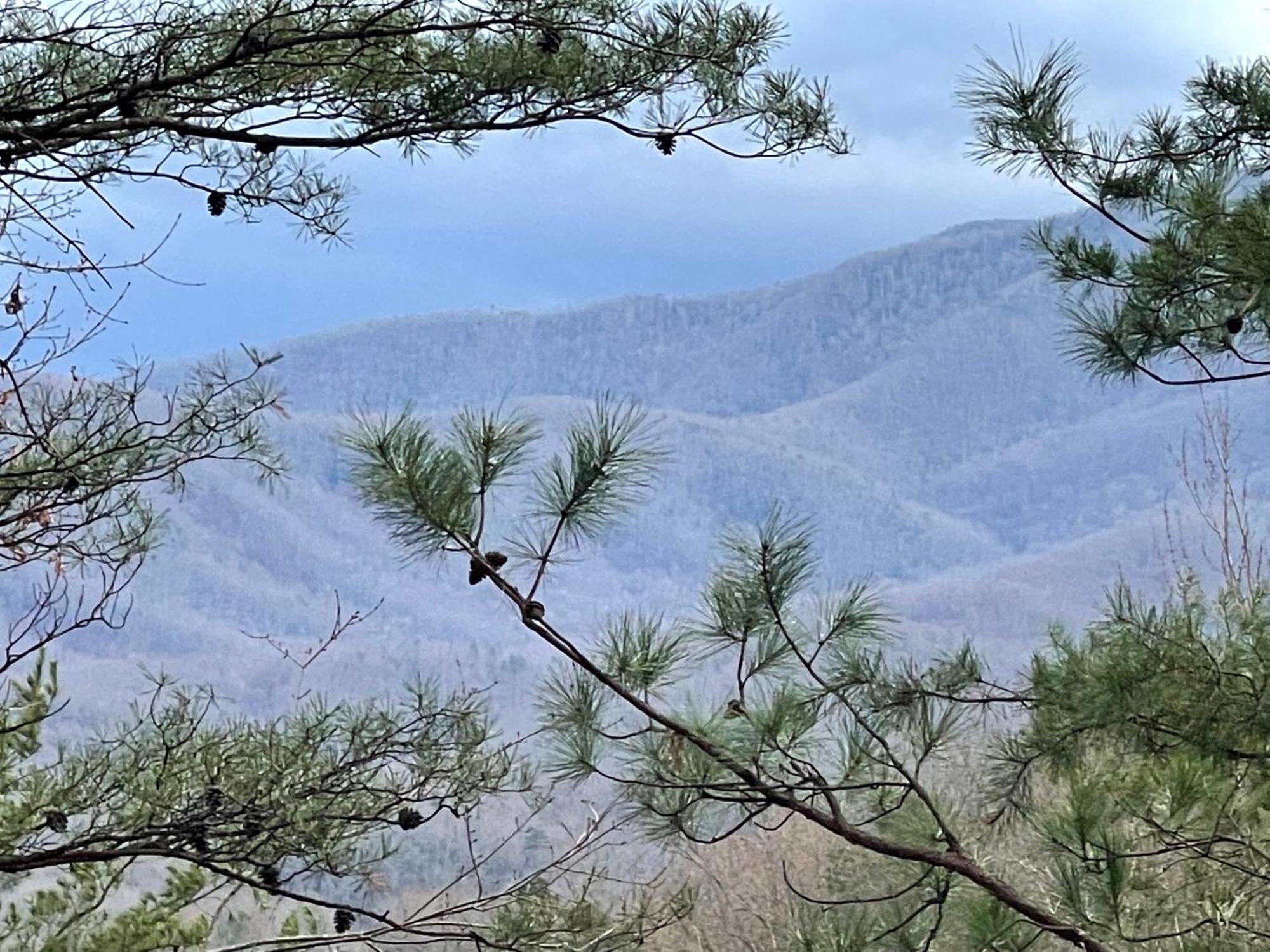 Mountain Love Nest Gatlinburg Eksteriør bilde